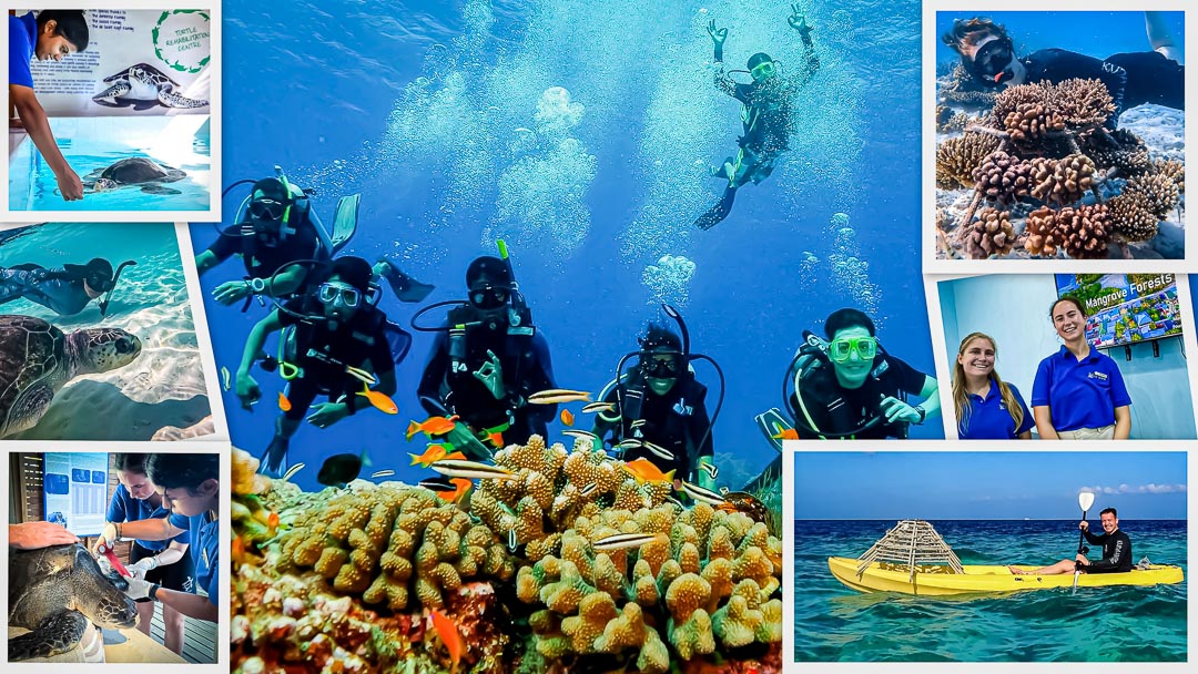 Academic Internship Program