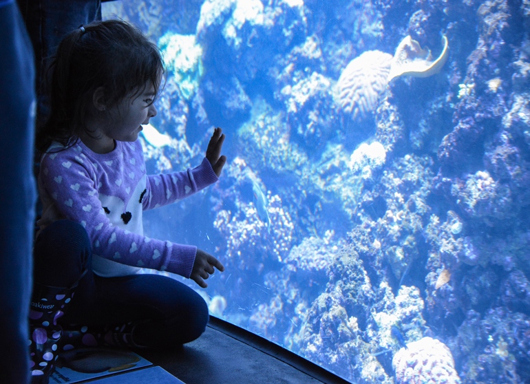 Kids Interactive Zone