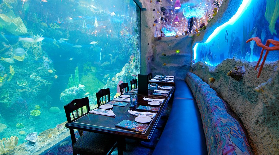 Aquarium Cafe